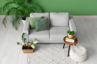 Oturma odasının içi kanepe, masa ve yeşil bitkilerle dolu.