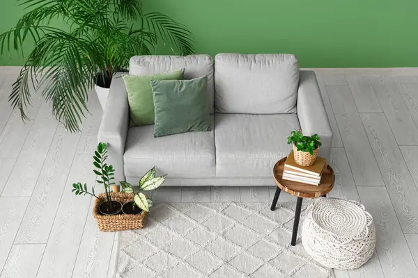 Oturma odasının içi kanepe, masa ve yeşil bitkilerle dolu.