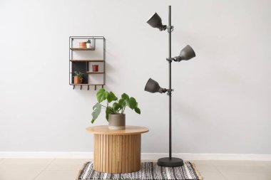 Ev bitkisi, standart lamba ve gri duvarın yanındaki raflı ahşap sehpa.