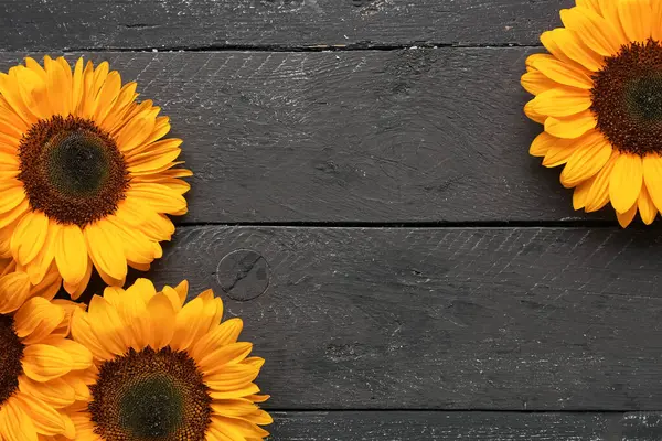 Siyah ahşap arka planda güzel ayçiçekleri