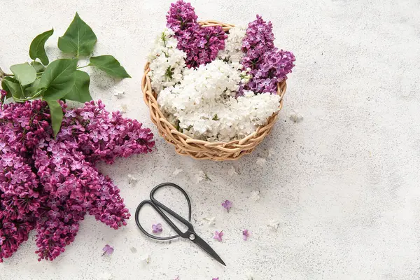Açık grunge arka planda güzel leylak çiçekleri ve makaslı Hasır sepet