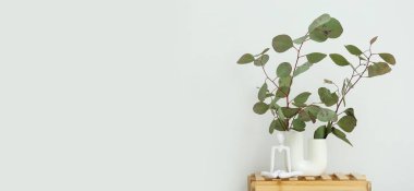 Beyaz duvarın yanındaki masada okaliptüs dalları olan vazo. Tasarım için pankart