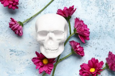 Açık mavi arka planda güzel kasımpatı çiçekleri olan insan kafatası