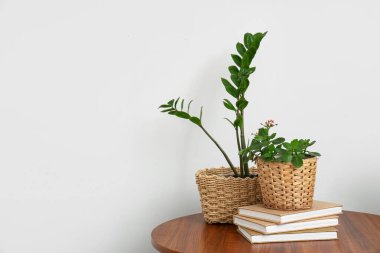 Işık duvarının yanındaki masada bitkiler ve kitaplarla dolu sepetler.