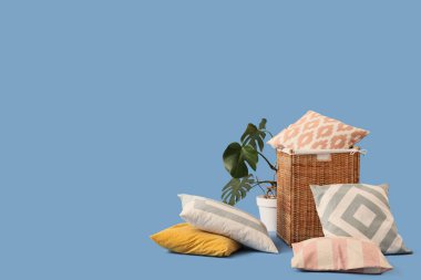 Farklı yastıklı sepet ve mavi arka planda ev bitkisi