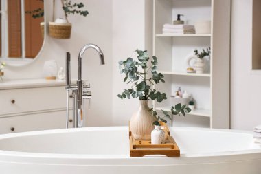 Okaliptüs dallı vazolar banyoda duruyor.