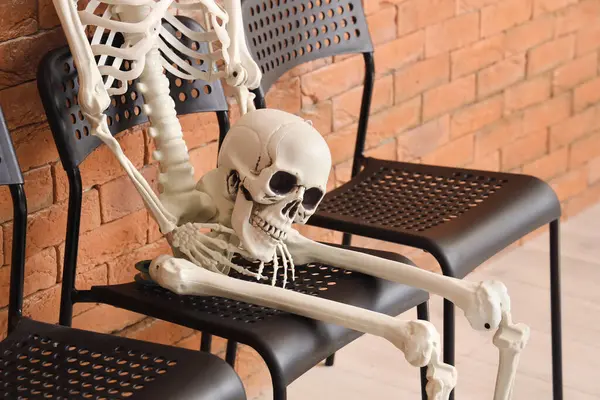 Kafatası tuğla duvarın yanında oturan insan iskelet modeli.