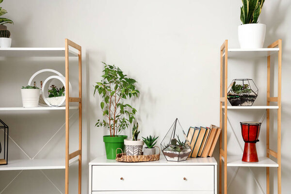 Florariums with books and houseplants on chest of drawers in room