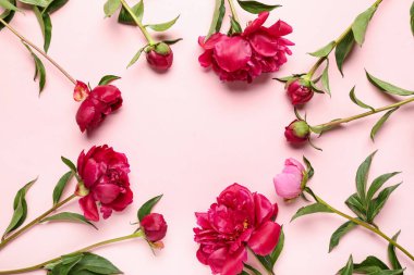 Pembe arka planda güzel şakayık çiçeklerinden yapılmış çerçeve