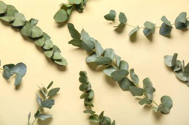 Sarı arka planda birçok yeşil okaliptüs dalları