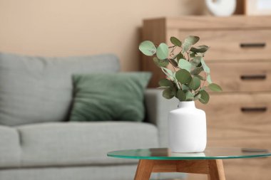 Oturma odasının iç tarafındaki masada okaliptüs dalları olan vazo, yakın plan.