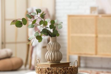 Güzel okaliptüs dalları olan bir vazo şık bir odada, yakın plan.