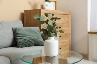 Oturma odasının iç tarafındaki cam masanın üzerinde okaliptüs dalları olan vazo, yakın plan.