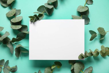 Turkuaz arka planda yeşil okaliptüs dalları olan boş kart