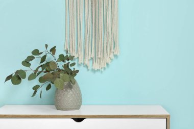 Okaliptüs dallı vazo mavi duvarın yanındaki çekmece çekmecesinde, yakın plan.