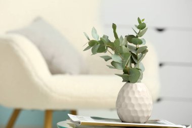 Okaliptüs dallı dergiler ve vazolar odanın içindeki masada, yakın plan.