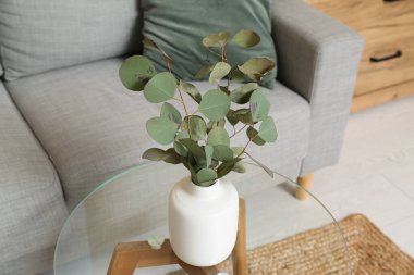 Oturma odasının iç tarafındaki masada okaliptüs dalları olan vazo, yakın plan.