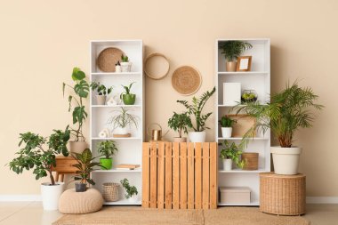 Odanın iç tarafındaki bej duvarın yanındaki raf, masa ve bitkiler.