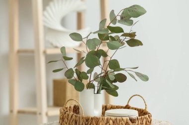 Hasır sepette güzel okaliptüs dalları olan vazo, yakın plan.