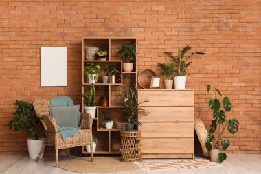 Raflama ünitesi, farklı ev bitkileriyle dolu çekmeceler ve odasındaki tuğla duvarın yanındaki koltuk.