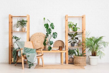 Raflama üniteleri, bank, koltuk ve beyaz tuğla duvarın yanındaki farklı ev bitkileri.