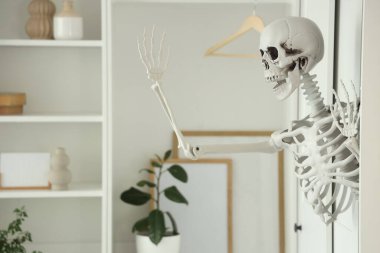 Evdeki dolapta insan iskeleti modeli