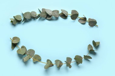 Mavi arkaplanda yeşil okaliptüs dallarından yapılmış çerçeve