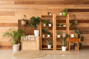 Odanın iç tarafındaki ahşap duvarın yanında raflar ve bitkilerle dolu bir masa.