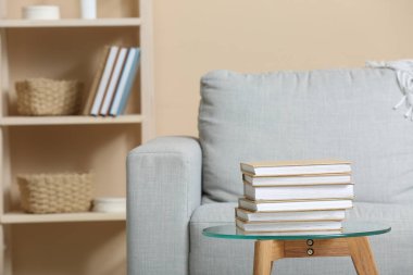 Odadaki kanepeye karşı cam masada yığınla kitap.