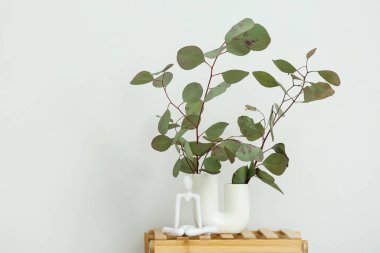 Beyaz duvarın yanındaki rafta güzel okaliptüs dalları olan vazo, yakın plan.