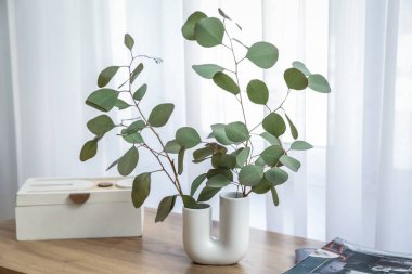 Odada pencerenin yanında okaliptüs dalları olan kutu ve vazo, yakın plan.