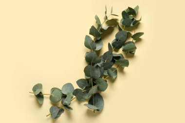 Sarı arkaplanda yeşil okaliptüs dalları