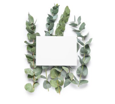 Beyaz arkaplanda yeşil okaliptüs dalları olan boş kart