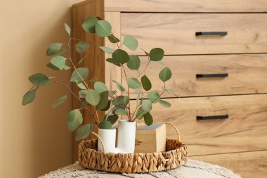 Okaliptüs dallı tepsi ve vazolar bej duvarın yanındaki puf üzerinde, yakın plan.