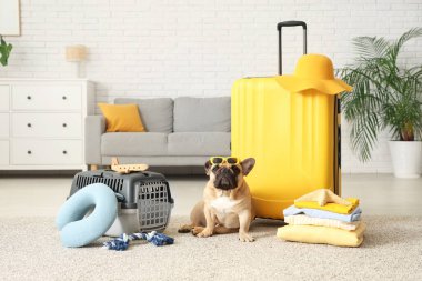 Güneş gözlüğü, bavulu ve seyahat aksesuarları olan sevimli bir Fransız bulldog 'u.