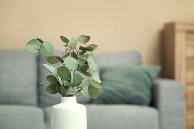 Aydınlık oturma odasının içinde okaliptüs dalları olan vazo, yakın plan.