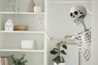Evdeki dolapta insan iskeleti modeli