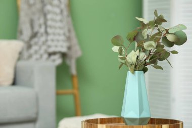 Oturma odasının içindeki masada okaliptüs dalları olan mavi vazo, yakın plan.