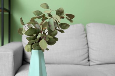 Oturma odasının içinde okaliptüs dalları olan mavi vazo, yakın plan.