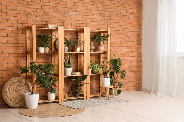 Odada tuğla duvarın yanında farklı ev bitkileri olan raflar.