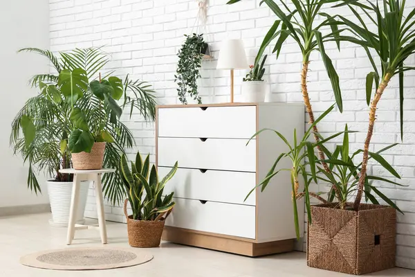 Beyaz tuğla duvarın yanında çekmeceleri ve bitkileri olan bir oda.