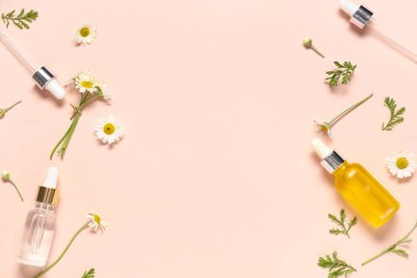 Bir şişe papatya çayı kozmetik yağı ve pembe arka planda çiçekler.
