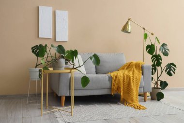 Gri kanepe, lamba ve Monstera bitkileriyle oturma odasının içinde.