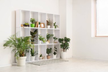 Odanın iç tarafındaki beyaz duvarın yanında ev bitkileri olan raf ünitesi.