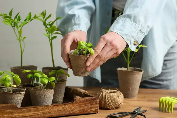 Kapalı masa da, turba kaplarında fideleri ve bahçe aletleri olan bir kadın.
