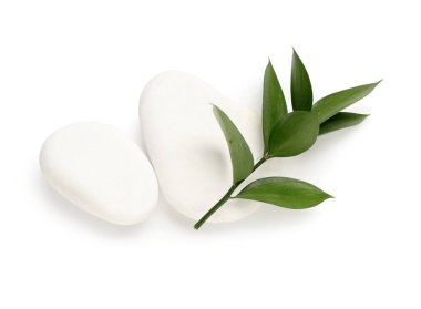 Beyaz arka planda bitki dalı ve spa taşları