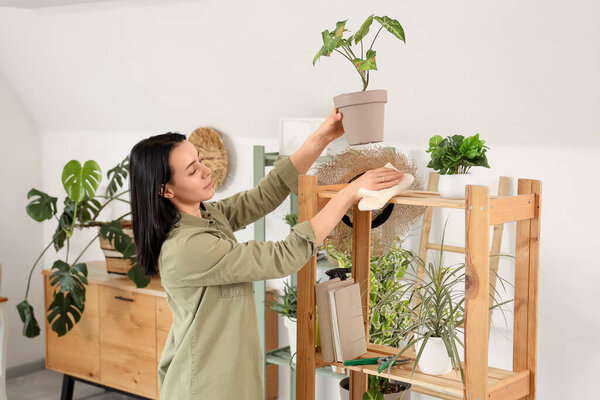 Красивая молодая женщина убирает полки с комнатными растениями дома