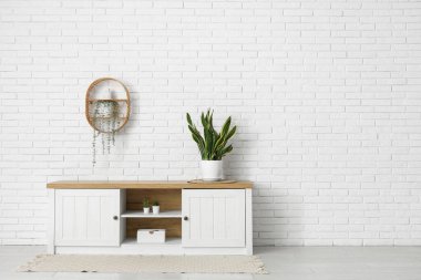 Odanın içi ayakta, rafta ve bitkilerle dolu.