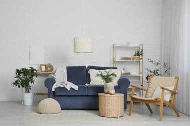 Oturma odasının içinde mavi kanepe, koltuk ve bitkiler var.