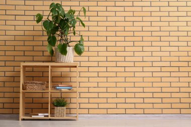Kitaplı raf ünitesi ve odada tuğla duvarın yanında Monstera bitkisi.